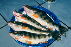 Spring Perch, 18" x 18", 2000 Steven Musgrave Collection